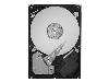 Seagate HARD DISK 2 TB SATA (ST2000DL004)